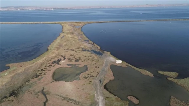 Sulak alan kaybı, küresel ekonomiyi tehdit ediyor