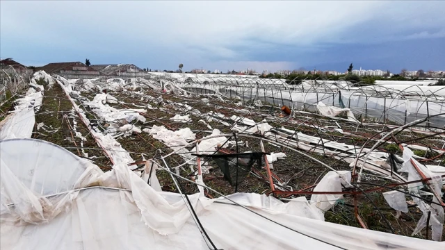 Teminat altına alınacak ürün ve riskler belirlendi