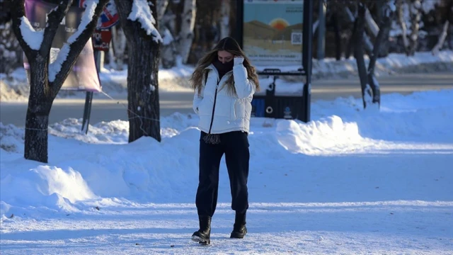 Türkiye'nin en soğuk ili